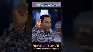 Вы хотите выйти замуж/женится? #tbjoshua #eastgatewind #ветервосточныхворот #wisdom #tbjlegacy