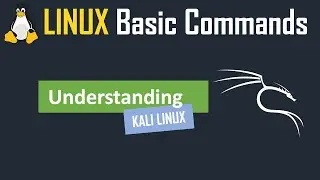 Linux Basic Commands | Kali Linux | Linux for Beginners