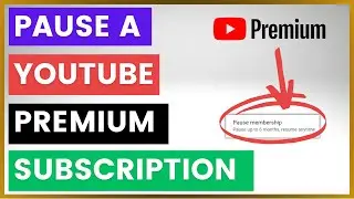 How To Pause A YouTube Premium Membership? [in 2024]