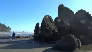 Ruby Beach  in  Olympic National Park (Washington state in USA)