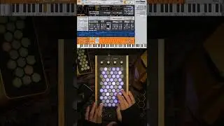 Exquis - Surge XT "Blade" (demo by @agyrtis) #fx #midi #artist #art #music #plugin #vstplugin #vst