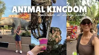 ANIMAL KINGDOM 🌳 🦁 🌺🐠 Safari, Flight of Passage, DINOSAUR, Satu'li Canteen, Everest, Lion King, Nemo