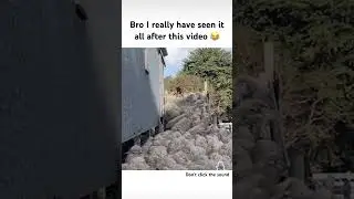 His balance is amazing 😂