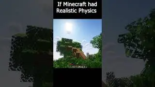 If Minecraft Had Realistic Physics