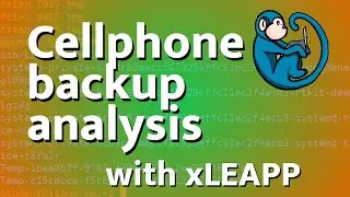 Android and iOS backup analysis using *LEAPP tools and Linux based tools