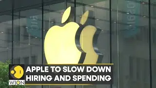 Apple plans to slow down hiring: Reports | Business News | WION