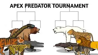 APEX PREDATOR TOURNAMENT-ANIMATION