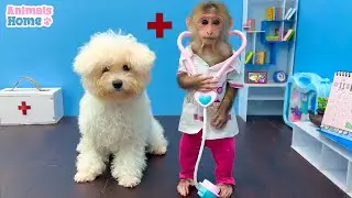 Doctor BiBi takes care of Amee