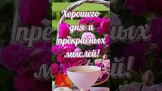 Доброе Утро !!!