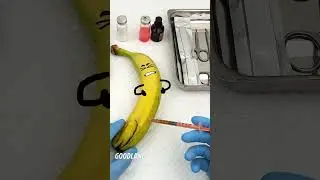 Goodland | Banana operation with a saw 😂 