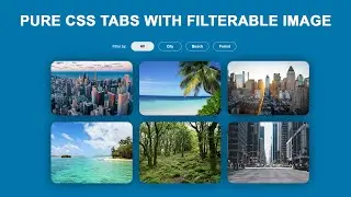 CSS3 Tabs With Filterable Image Gallery | How to create Tabs using HTML and Pure CSS