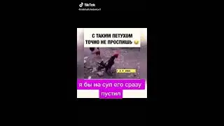 Приколы от WhatsApp