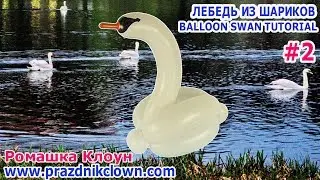 ЛЕБЕДЬ ИЗ ДЛИННОГО ШАРИКА ШДМ #2 как сделать своими руками Balloon Swan TUTORIAL