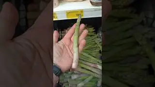 СПАРЖА В МАГНИТЕ ЦЕНА КОСМОС 