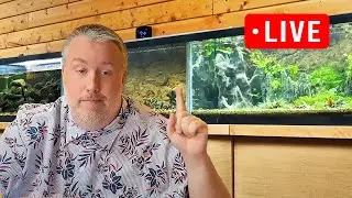 My 1 Rule that always works with aquariums - Episode 305