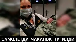 ТЕЗКОР САМАРКАНДЛИК АЁЛ САМОЛЁТДА...ЭНДИ ЧАКАЛОК БИР УМР