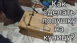 Как сделать ящичную ловушки на куницу.  