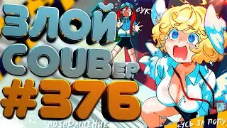 ЗЛОЙ BEST COUB Forever 