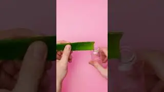 SMART ALOE VERA BEAUTY HACK 💚 Girly Hacks And Tips 🙌🏻