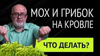 Мох, грибок и лишайник на кровле: Как не допустить? Что делать при появлении?