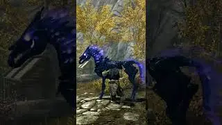 SKYRIM-ПЕРЕГРУЗ БОЛЬШЕ НЕ ПРОБЛЕМА! 