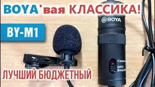 ШИКАРНАЯ ПЕТЛИЧКА BOYA BY-M1 🎙️ Лучший бюджетный микрофон!