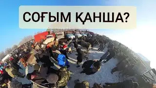 Жаркент мал базары. 11.12.2022ж