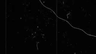 OLD FILM OVERLAY FREE DOWNLOAD NO COPYRIGHT