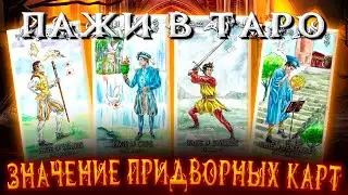 ИЗУЧАЕМ ТАРО: Значение Придворных карт: Пажи в Таро. Карина Таро. #школатаро @karina_taro   ​