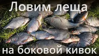 Лещ на боковой кивок | Весна | Река | Летняя мормышка