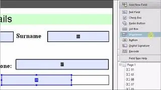 How to Create Form / Fillable PDF Format in Acrobat XI Pro