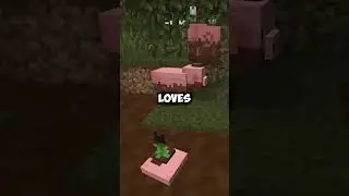 The Pig Mojang Deleted on June 30, 2021 | Earth Mobs mod