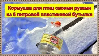 Кормушка для птиц своими руками из 5 литровой пластиковой бутылки