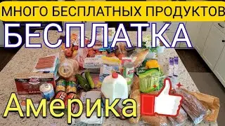 МНОГО БЕСПЛАТНЫХ ПРОДУКТОВ/Бесплатка в США/Отличный продуктовый набор/Что дали?/Фудбанк/Влог