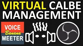 HOW TO: Organise Your VoiceMeeter Virtual Audio Interfaces in Windows