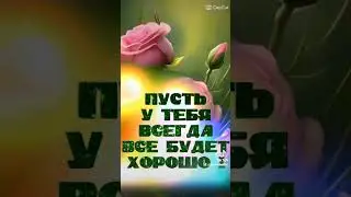 Доброе утро !🍀🌺🍀🦋💛