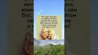 Дай нам Бог, прожить на этом свете в своем уме и на своих ногах!