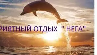 Приветное "Нега"