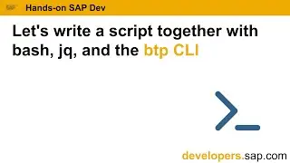 Lets write a script together with bash, jq, and the btp CLI