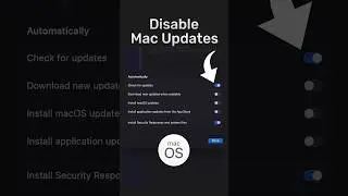 Turn Off Auto Updates on MacOS