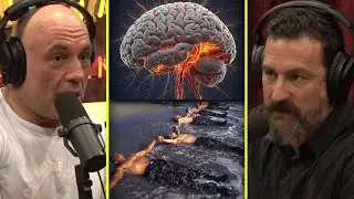 The "Do Hard Things" Brain Muscle | Joe Rogan & Andrew Huberman