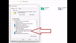 How To Show Hidden Files and Folders In Windows 11