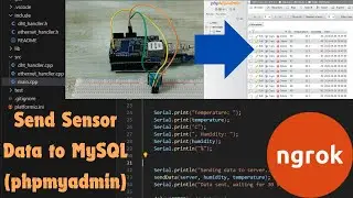 Send Temperature & Humidity Data from Arduino(Ethernet Shield) to Public MySQL by ngrok & PlatformIO