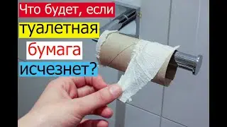 Что будет если вся туалетная бумага исчезнет? Туалетная бумага исчезла?