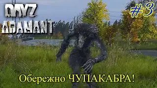 DayZ Standalone Adamant PVE [UA] - Чупакабра - перша зустріч # 3