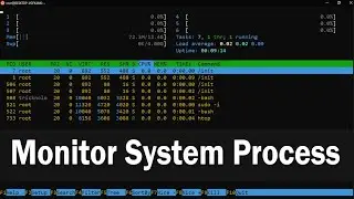 How to Monitor System Processes Using Htop