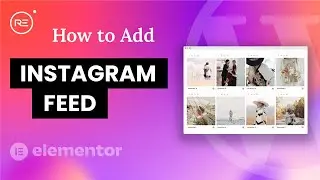 (OLD) Elementor Instagram Feed Widget - Royal Elementor Addons