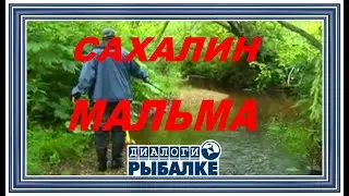 Диалоги о рыбалке - 060 / Сахалин, Мальма
