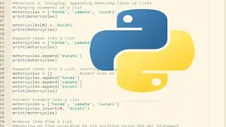 Live stream Python 10  hours