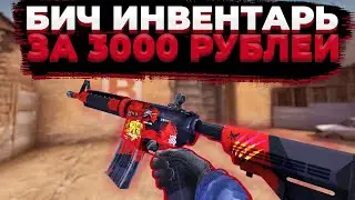 Инвентарь Мечты ЗА 3000 РУБЛЕЙ!!! - Бич Инвентарь за 3000 рублей в CS:GO